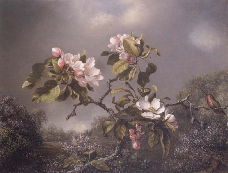 Martin Johnson Heade Apple Blosoms and Hummingbird